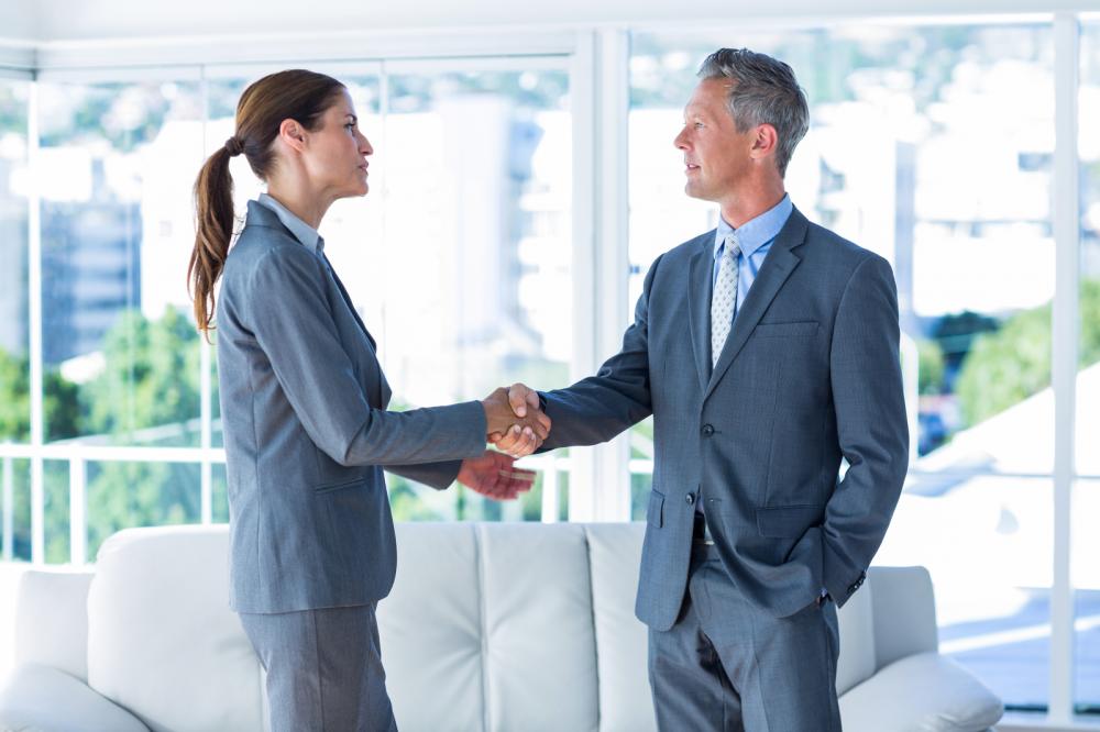 Two Business Workers Shake Hands1